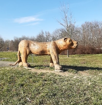 Lvice Lvice